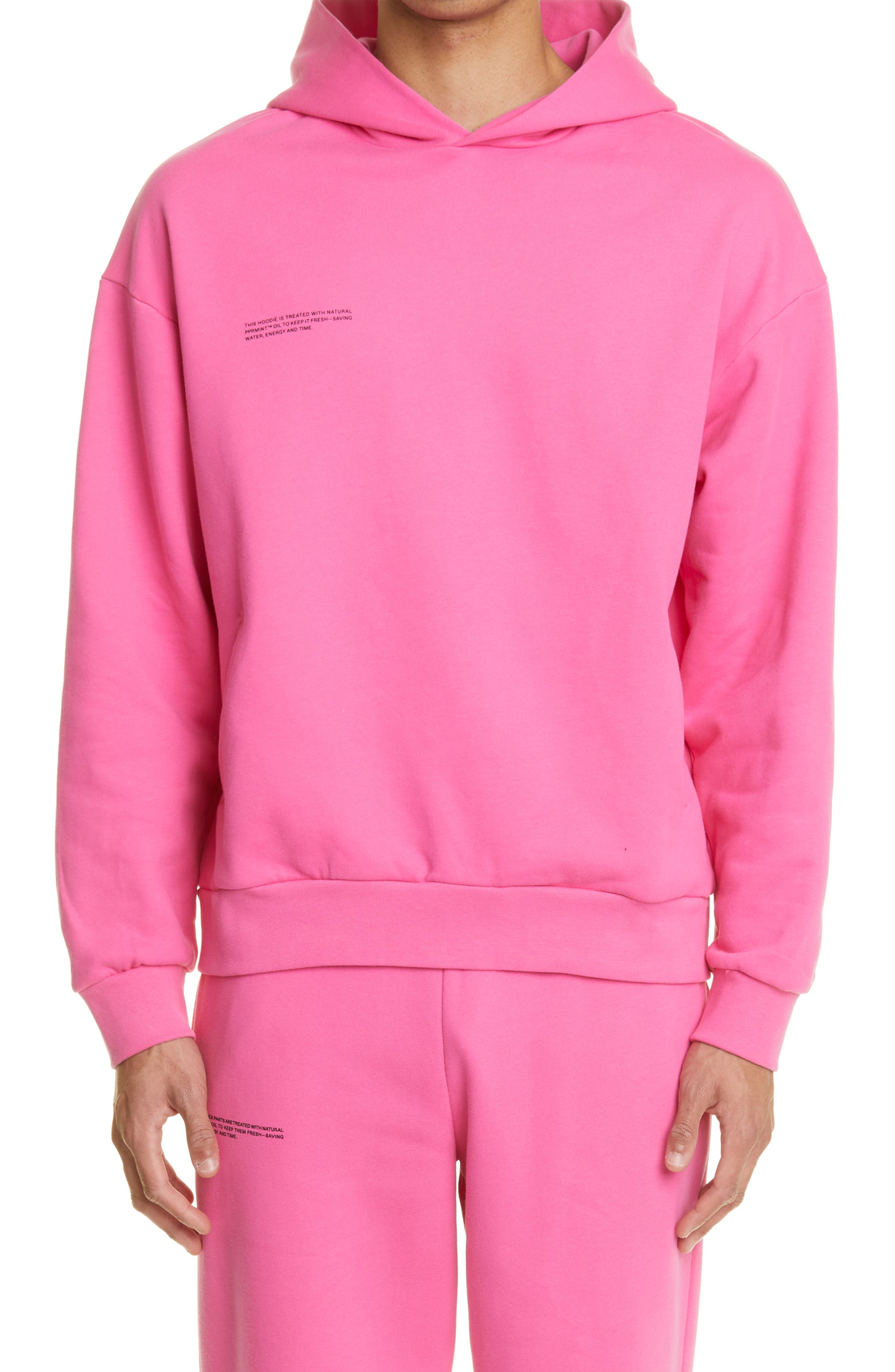 Charl Wil Pink Flamingo Mint Green Stripe Mens Hoodies & Sweatshirts Long Pullover 